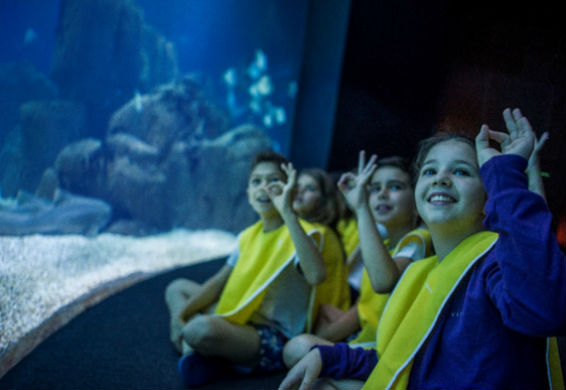 Oceanario_04