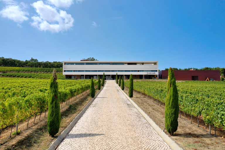 ADEGAMÃE, A PLACE FOR WINE TO GLOW