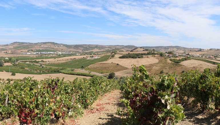 Arruda_dos_Vinhos_01